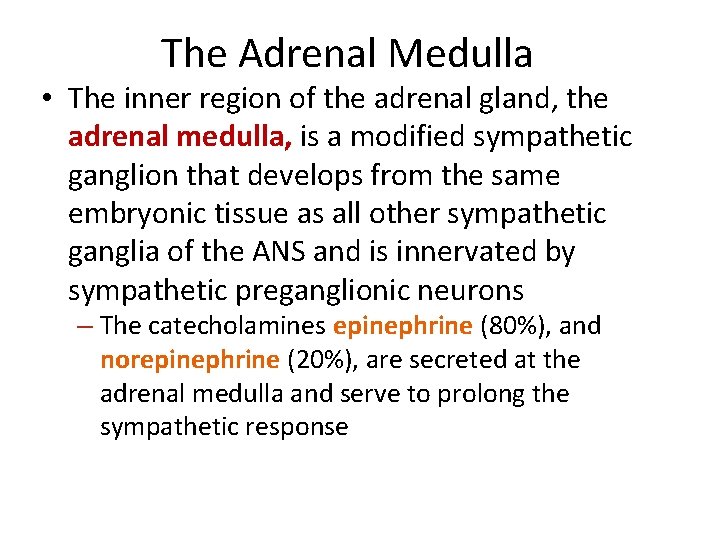 The Adrenal Medulla • The inner region of the adrenal gland, the adrenal medulla,