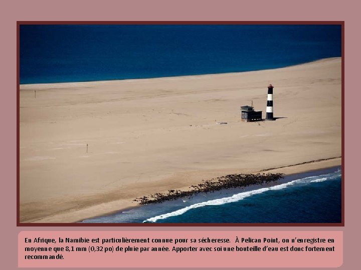 En Afrique, la Namibie est particulièrement connue pour sa sécheresse. À Pelican Point, on