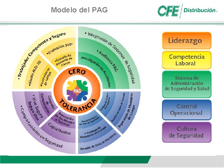 Modelo del PAG 