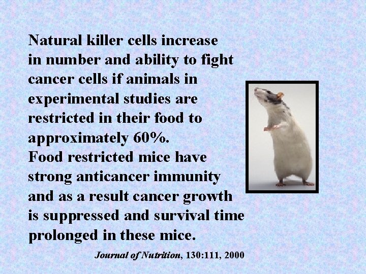 Natural killer cells increase in number and ability to fight cancer cells if animals