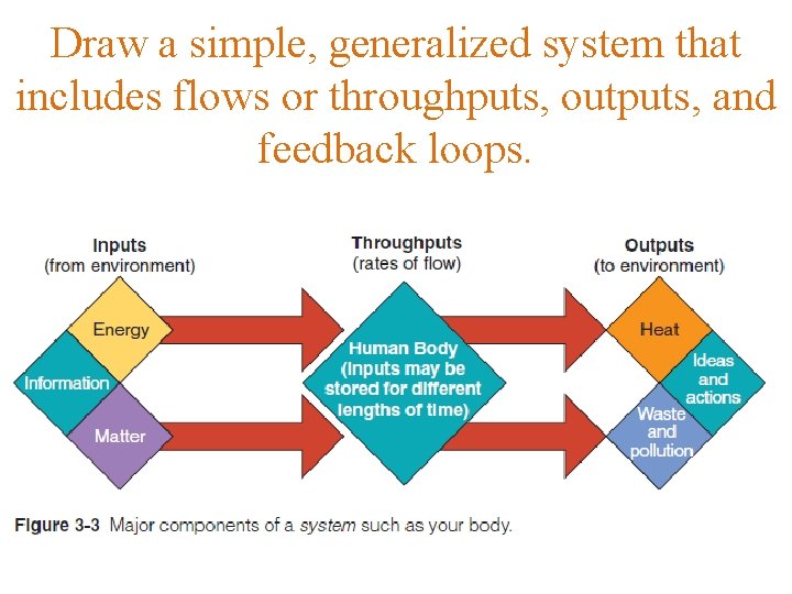 Draw a simple, generalized system that includes flows or throughputs, outputs, and feedback loops.