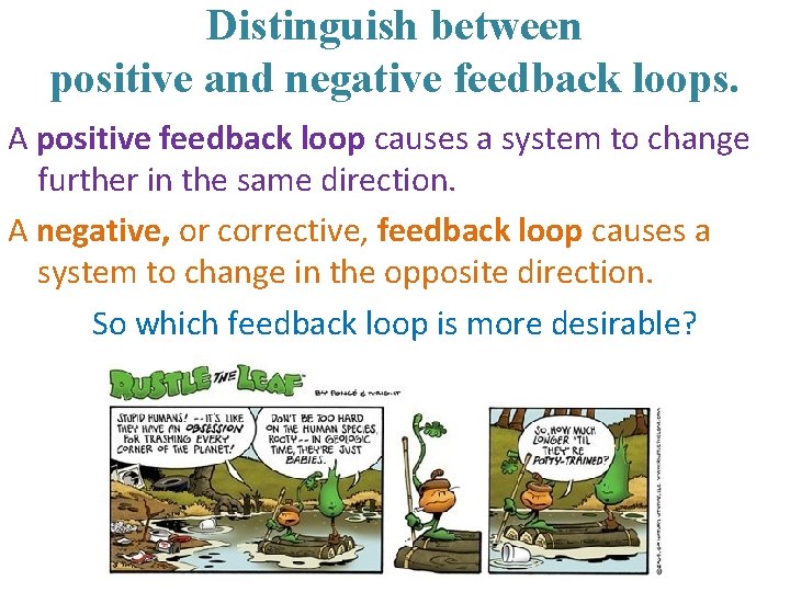 Distinguish between positive and negative feedback loops. A positive feedback loop causes a system