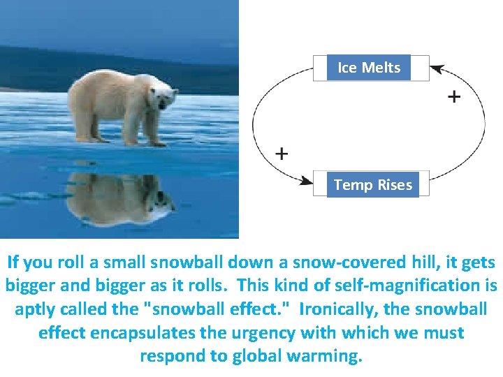 Ice Melts Temp Rises If you roll a small snowball down a snow-covered hill,