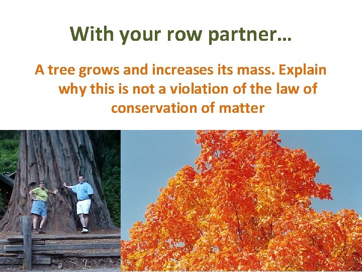 With your row partner… A tree grows and increases its mass. Explain why this