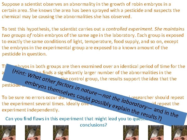 Suppose a scientist observes an abnormality in the growth of robin embryos in a