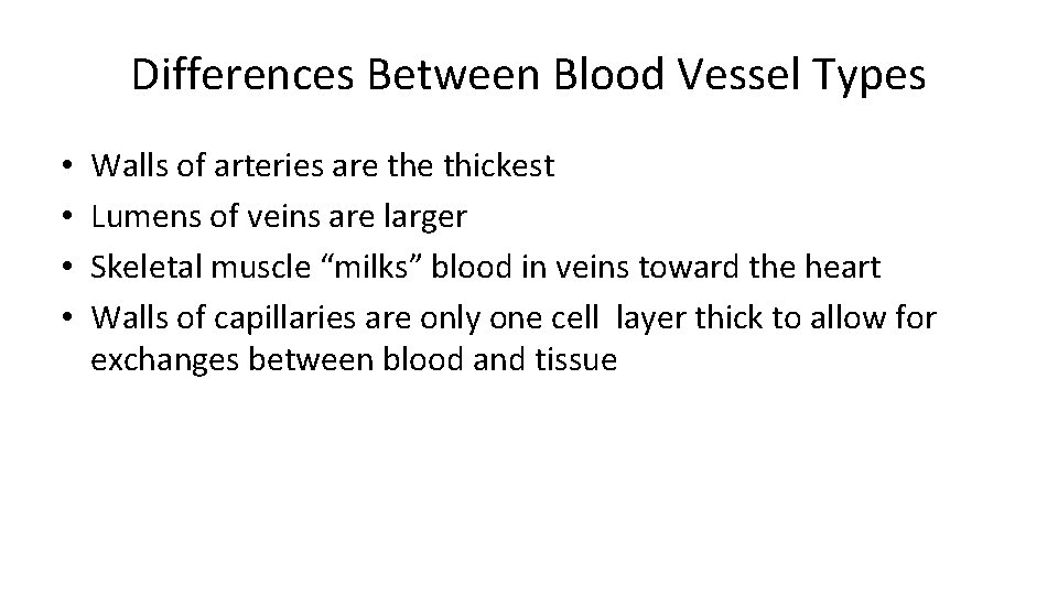 Differences Between Blood Vessel Types • • Walls of arteries are thickest Lumens of