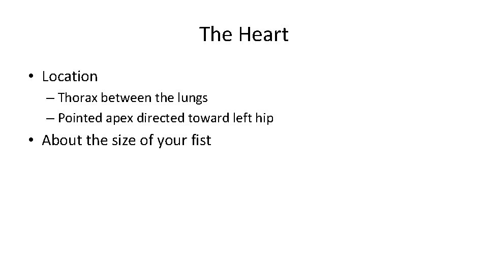 The Heart • Location – Thorax between the lungs – Pointed apex directed toward