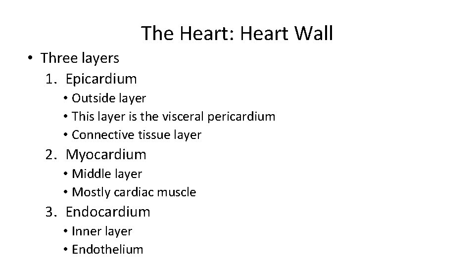 The Heart: Heart Wall • Three layers 1. Epicardium • Outside layer • This
