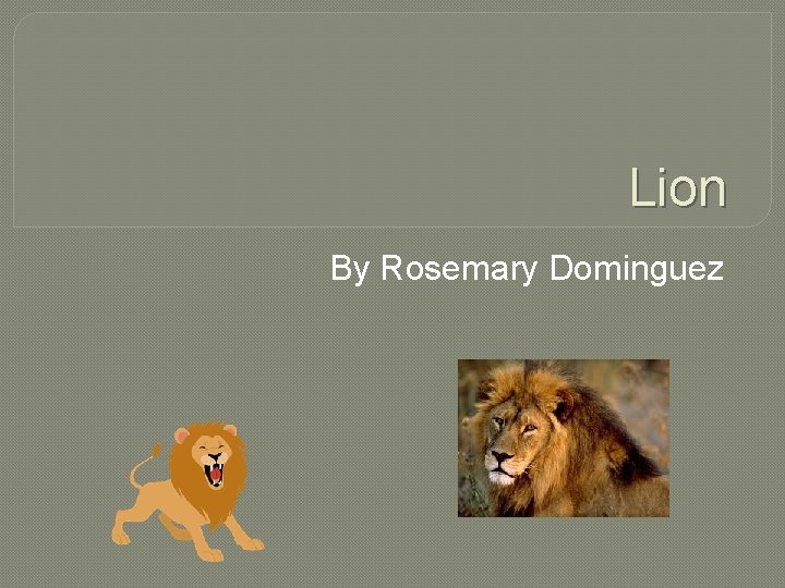 Lion By Rosemary Dominguez 