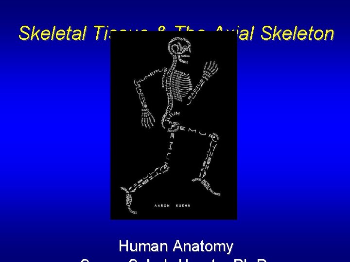 Skeletal Tissue & The Axial Skeleton Human Anatomy 