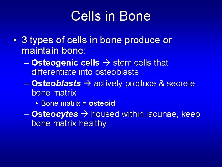 Cells in Bone • 3 types of cells in bone produce or maintain bone: