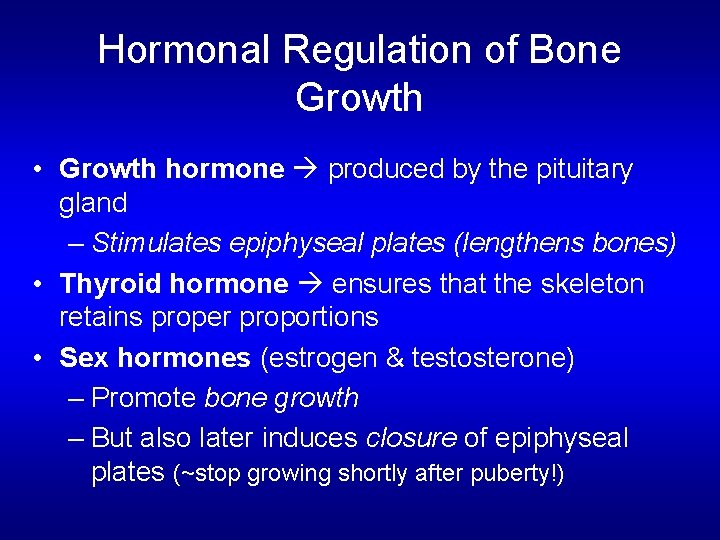 Hormonal Regulation of Bone Growth • Growth hormone produced by the pituitary gland –