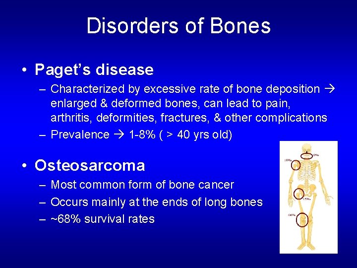 Disorders of Bones • Paget’s disease – Characterized by excessive rate of bone deposition