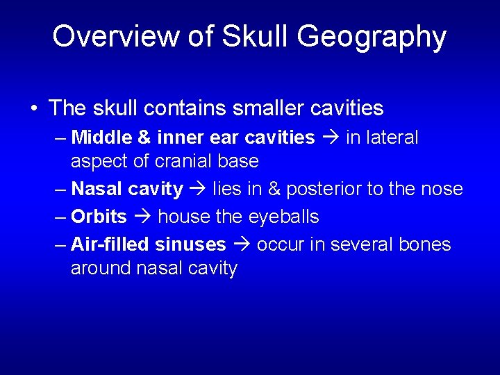 Overview of Skull Geography • The skull contains smaller cavities – Middle & inner