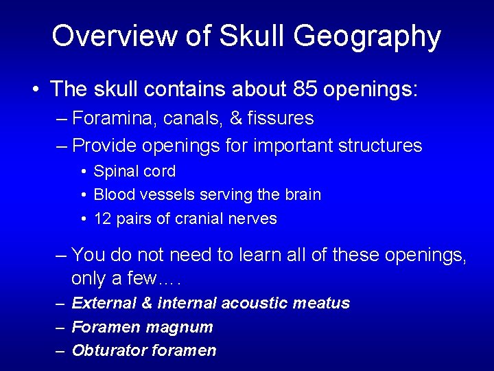 Overview of Skull Geography • The skull contains about 85 openings: – Foramina, canals,