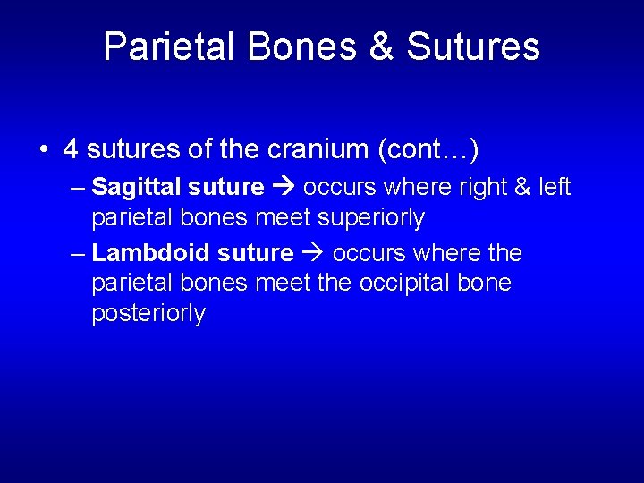 Parietal Bones & Sutures • 4 sutures of the cranium (cont…) – Sagittal suture