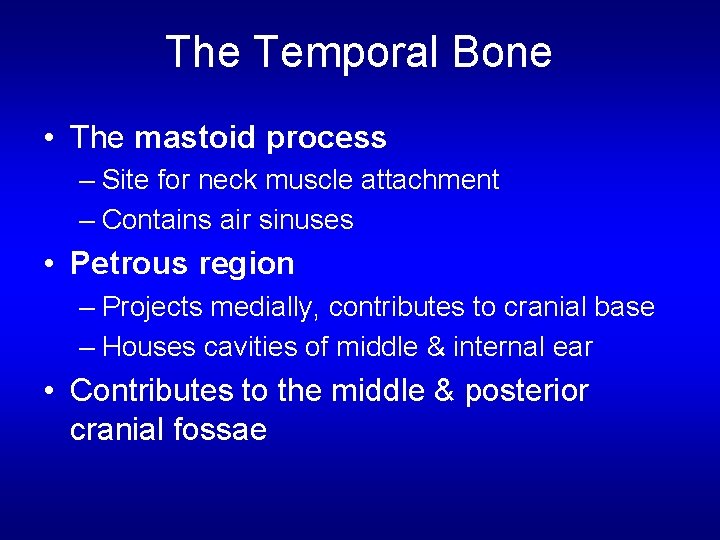 The Temporal Bone • The mastoid process – Site for neck muscle attachment –