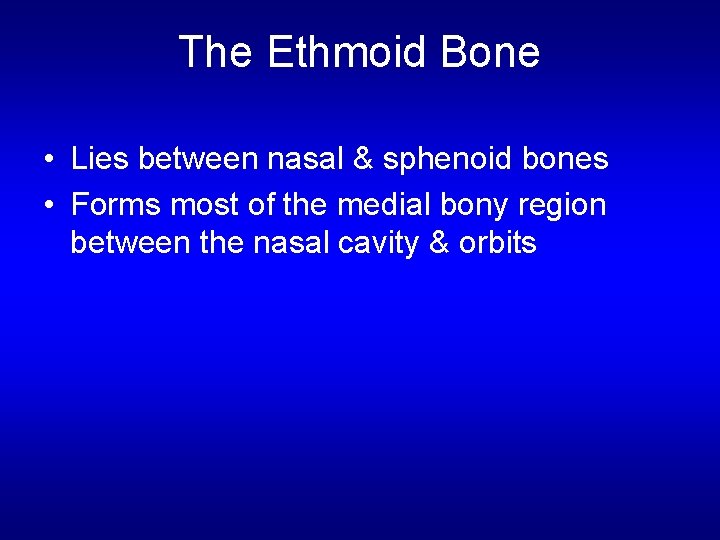 The Ethmoid Bone • Lies between nasal & sphenoid bones • Forms most of