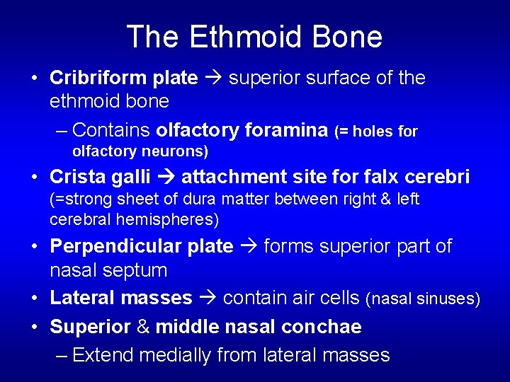 The Ethmoid Bone • Cribriform plate superior surface of the ethmoid bone – Contains