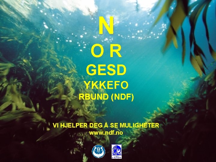 N OR GESD YKKEFO RBUND (NDF) VI HJELPER DEG Å SE MULIGHETER www. ndf.