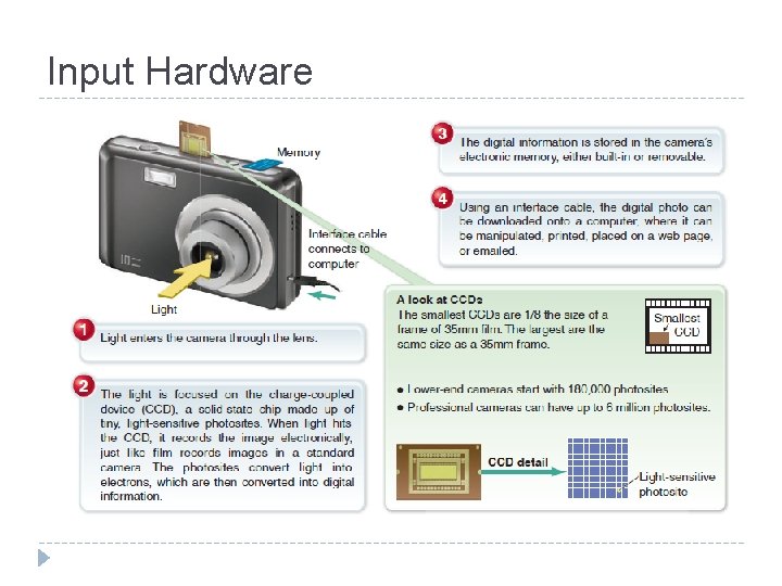 Input Hardware 