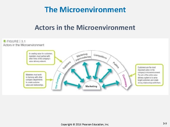 The Microenvironment Actors in the Microenvironment Copyright © 2016 Pearson Education, Inc. 3 -9