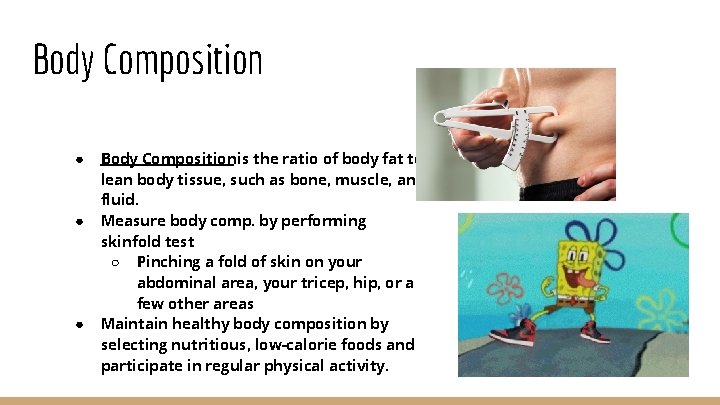 Body Composition ● ● ● Body Composition is the ratio of body fat to