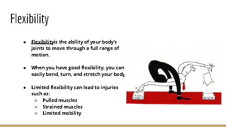 Flexibility ● Flexibilityis the ability of your body’s joints to move through a full