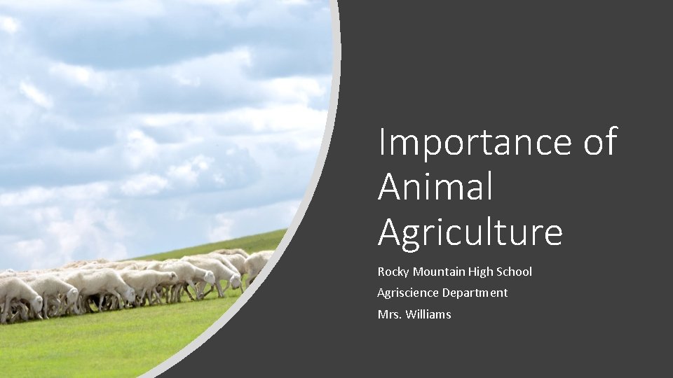 Importance of Animal Agriculture Rocky Mountain High School