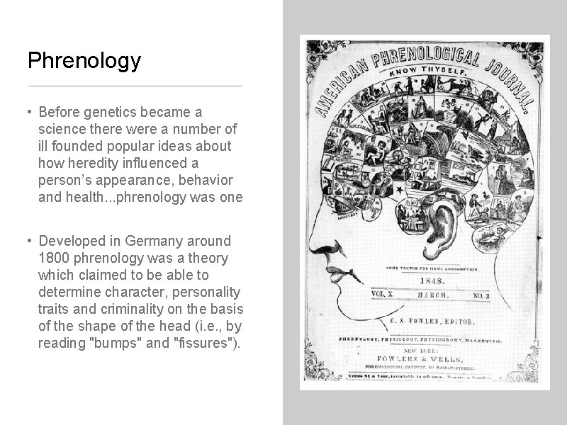 Phrenology • Before genetics became a science there were a number of ill founded