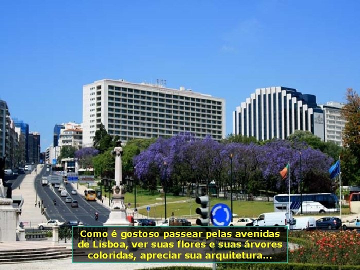 Como é gostoso passear pelas avenidas de Lisboa, ver suas flores e suas árvores