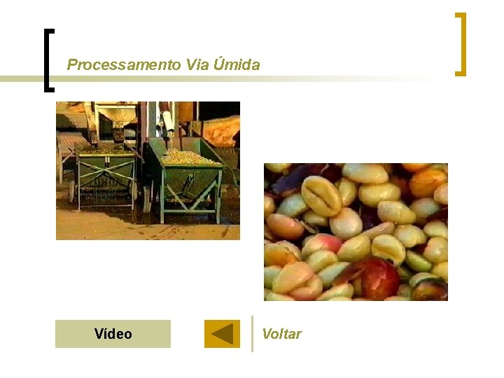 Processamento Via Úmida Vídeo Voltar 