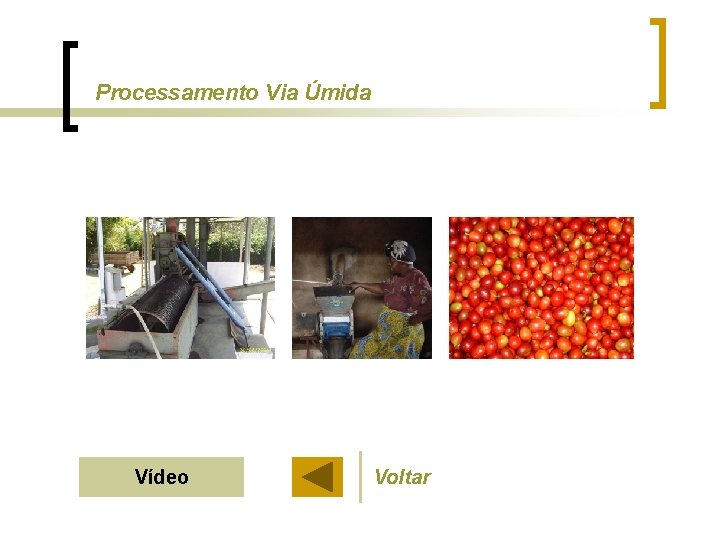 Processamento Via Úmida Vídeo Voltar 