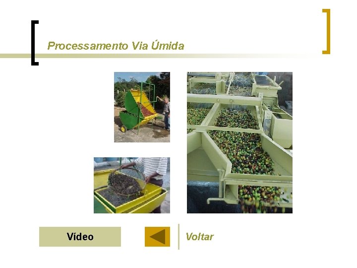 Processamento Via Úmida Vídeo Voltar 