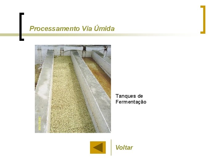 Processamento Via Úmida Tanques de Fermentação Voltar 