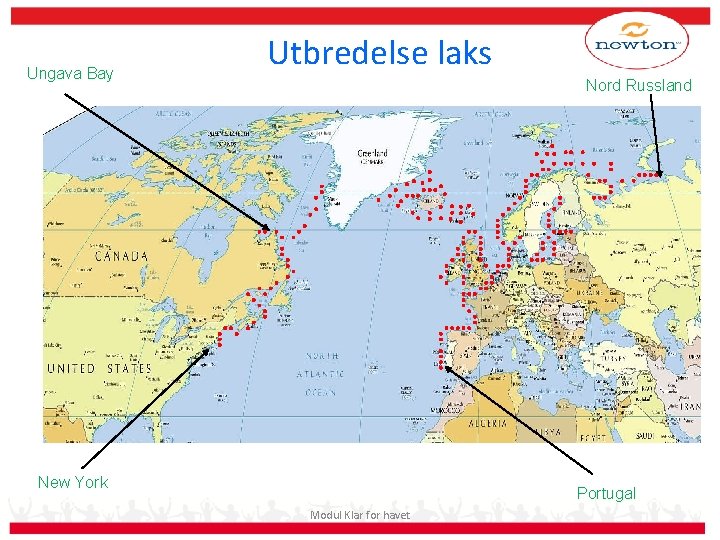 Ungava Bay Utbredelse laks Nord Russland New York Portugal Modul Klar for havet 