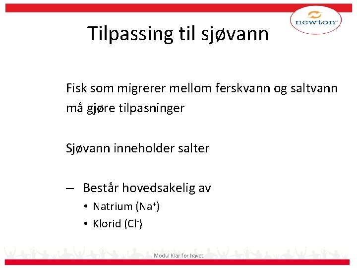 Tilpassing til sjøvann Fisk som migrerer mellom ferskvann og saltvann må gjøre tilpasninger Sjøvann