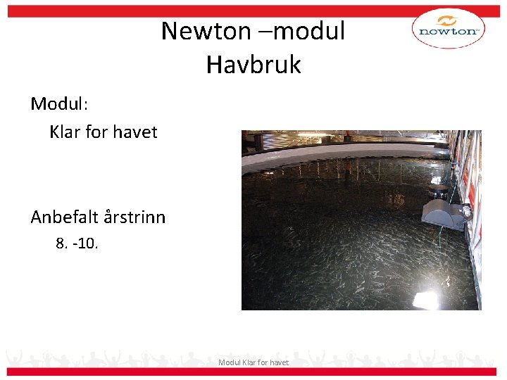 Newton –modul Havbruk Modul: Klar for havet Anbefalt årstrinn 8. -10. Modul Klar for