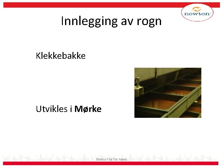 Innlegging av rogn Klekkebakke Utvikles i Mørke Modul Klar for havet 