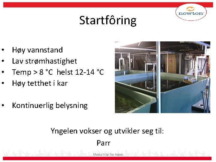 Startfôring • • Høy vannstand Lav strømhastighet Temp > 8 °C helst 12 -14