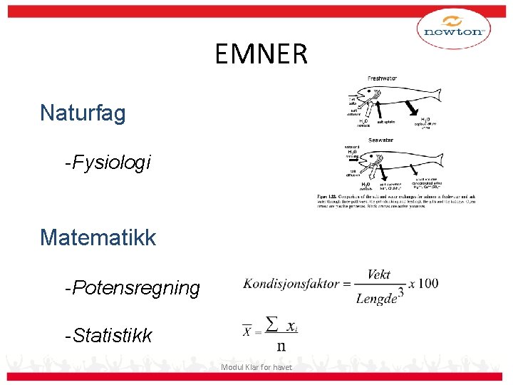 EMNER Naturfag -Fysiologi Matematikk -Potensregning -Statistikk Modul Klar for havet 