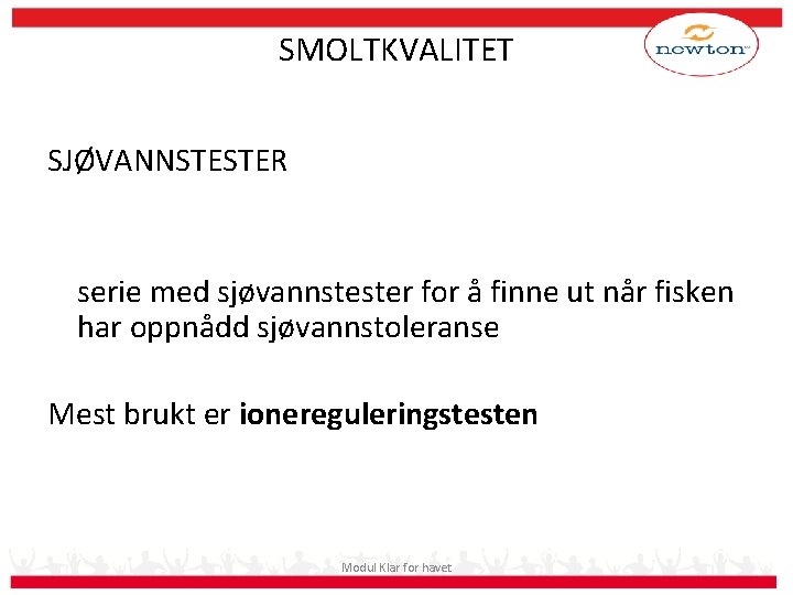 SMOLTKVALITET SJØVANNSTESTER serie med sjøvannstester for å finne ut når fisken har oppnådd sjøvannstoleranse