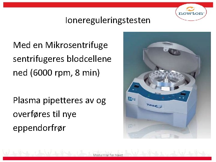 Ionereguleringstesten Med en Mikrosentrifugeres blodcellene ned (6000 rpm, 8 min) Plasma pipetteres av og