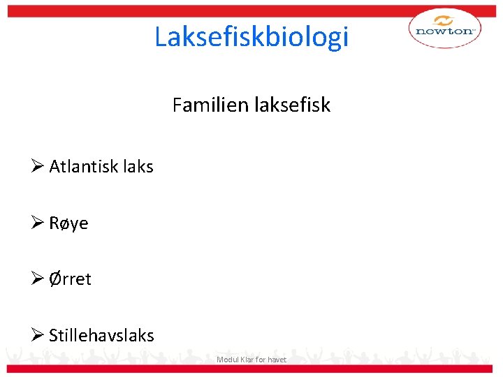 Laksefiskbiologi Familien laksefisk Ø Atlantisk laks Ø Røye Ø Ørret Ø Stillehavslaks Modul Klar