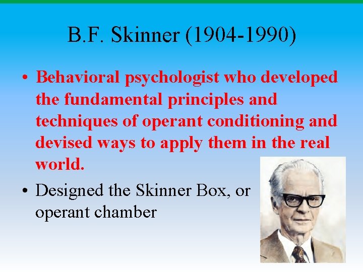 B. F. Skinner (1904 -1990) • Behavioral psychologist who developed the fundamental principles and