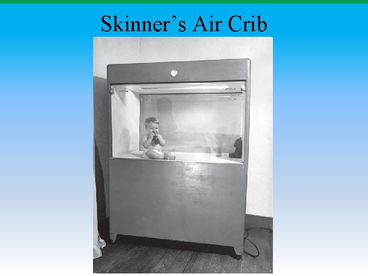 Skinner’s Air Crib 