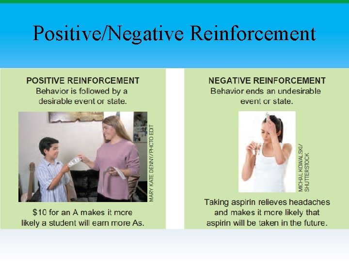 Positive/Negative Reinforcement 