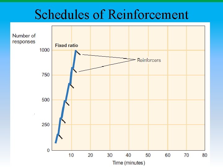 Schedules of Reinforcement 