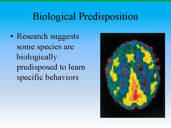 Biological Predisposition • Research suggests some species are biologically predisposed to learn specific behaviors