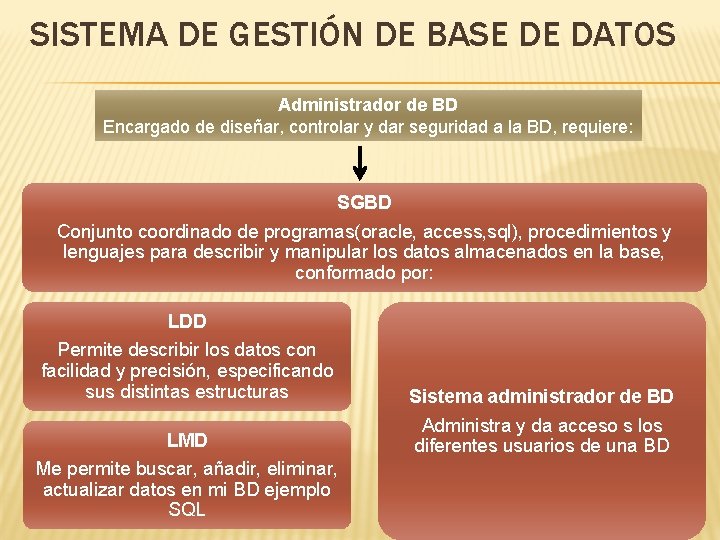 SISTEMA DE GESTIÓN DE BASE DE DATOS Administrador de BD Encargado de diseñar, controlar